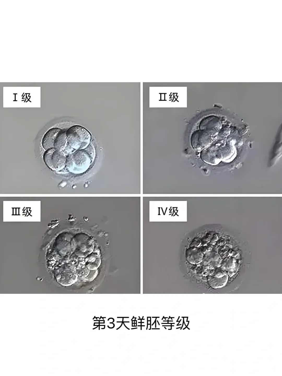 2026北京最大的三代试管公司有哪些？排名参考