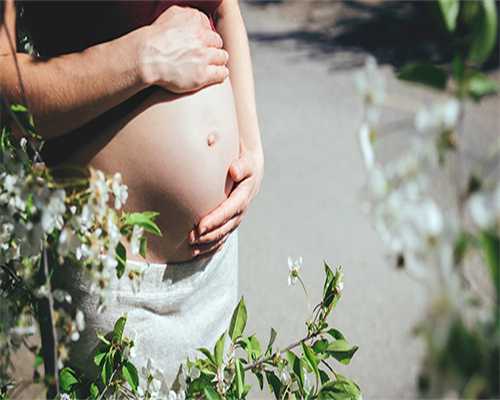 狮子林附近试管助孕专家，2026狮子林助孕包生女孩攻略